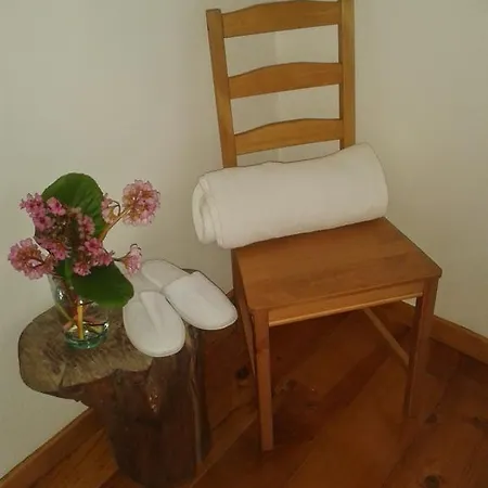 Homestay Palheiro Do Avo - Grandfather House *
