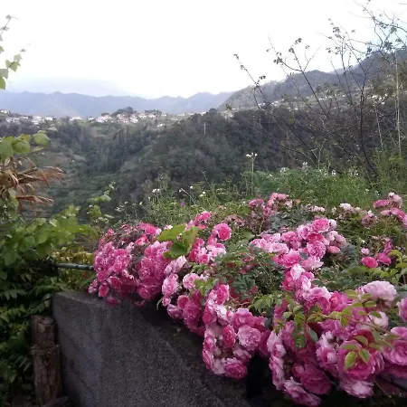 Homestay Palheiro Do Avo - Grandfather House *